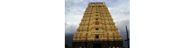 237. திருக்கச்சியேகம்பகம்